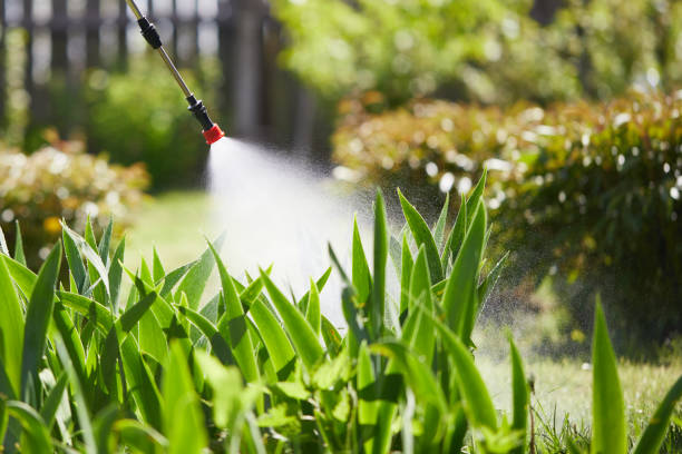 24/7 Emergency Mosquito Control experts in Brookville, OH
